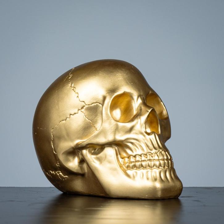 Schedelbeelden -, Antiquités & Art, Art | Sculptures & Bois, Enlèvement ou Envoi