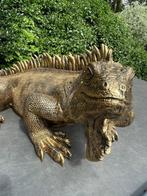 (Tuin)Beeld Leguaan, tuin, zwembad, vijver, salamander 100cm, Ophalen, Nieuw, Kunststof, Dierenbeeld