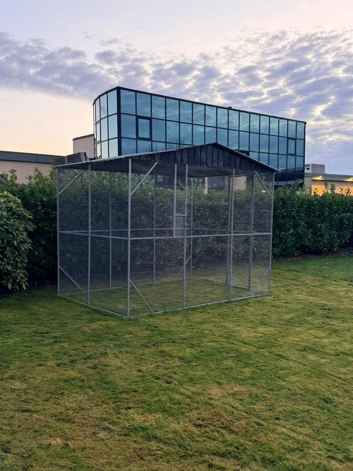 Voleire zoekt vogeltjes, Dieren en Toebehoren, Vogels | Kanaries