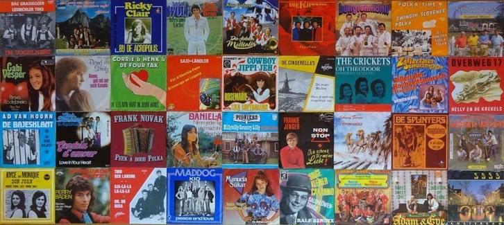 GEZOCHT SINGELS, Cd's en Dvd's, Vinyl | Nederlandstalig, Zo goed als nieuw, Ophalen