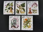 Pologne 1980 - flore, fleurs, plantes médicinales, Enlèvement ou Envoi, Pologne, Affranchi