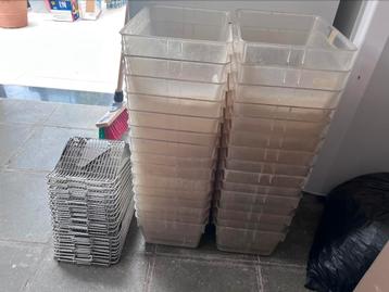 30x t2 labo bakken beschikbaar voor biedingen