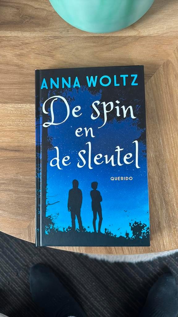 Anna Woltz - De spin en de sleutel, Livres, Livres pour enfants | Jeunesse | 10 à 12 ans, Enlèvement ou Envoi