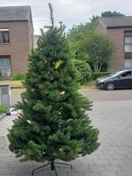 kerstboom, Diversen, Kerst, Ophalen, Zo goed als nieuw