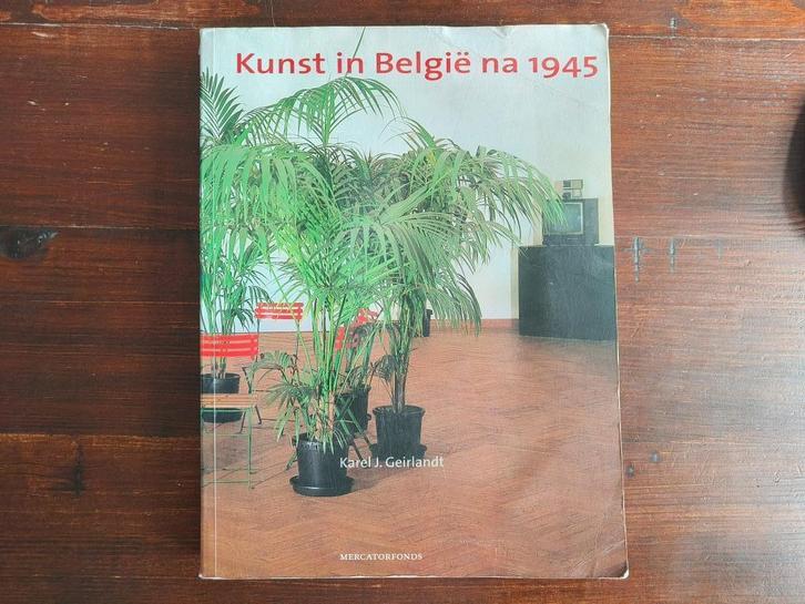 Kunst in Belgie na 45, Boeken, Kunst en Cultuur | Beeldend, Gelezen, Schilder- en Tekenkunst, Ophalen