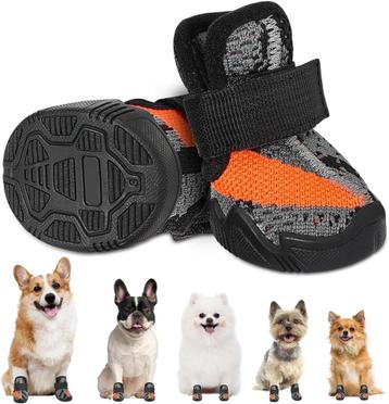 kleine hondenschoen  beschikbaar voor biedingen