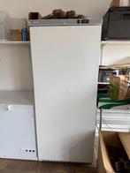 Koelkast 600L, Elektronische apparatuur, Koelkasten en IJskasten, Ophalen, Zonder vriesvak, 200 liter of meer, 60 cm of meer