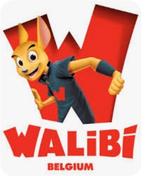 Walibi tickets voor volwassenen 30eur per stuk ZONDER reserv
