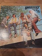 Lp Gallery, Enlèvement ou Envoi, Utilisé, 12 pouces, Pop rock