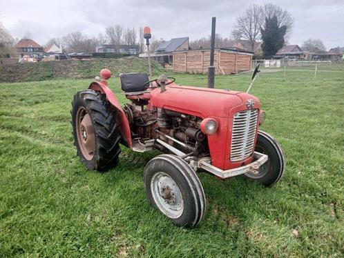 Massey Ferguson 35x, Zakelijke goederen, Landbouw | Tractoren, 7500 tot 10000, Massey Ferguson, tot 80 Pk, Oldtimer, Ophalen