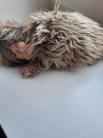 Anne Geddes Egel, Verzamelen, Ophalen of Verzenden