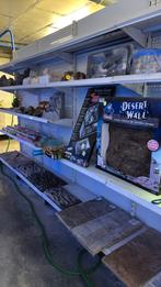 Lot terrariumspullen nieuw, Animaux & Accessoires, Enlèvement