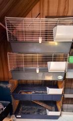 Verschillende kooien beschikbaar, Dieren en Toebehoren, Ophalen, Zo goed als nieuw, Cavia