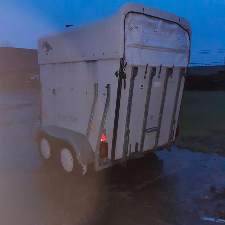 Paardentrailer, Dieren en Toebehoren, Paarden en Pony's | Trailers en Aanhangwagens, Ophalen of Verzenden