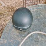 Pothelm maat medium, Enlèvement