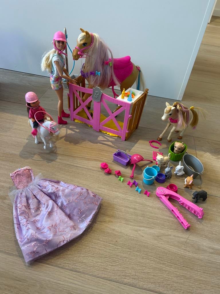Barbie paardenset, Enlèvement, Utilisé, Barbie