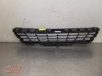 Pare-chocs grille d'un Renault Trafic, Renault, -, 3 mois de garantie, Utilisé