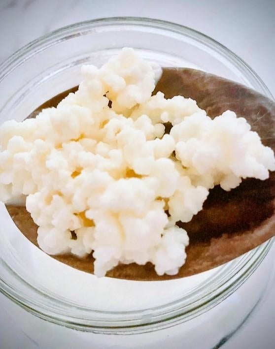 Kefir, Diversen, Levensmiddelen, Ophalen