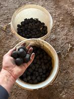 Kolen, Enlèvement, Neuf, Autres carburants, Poêle à charbon