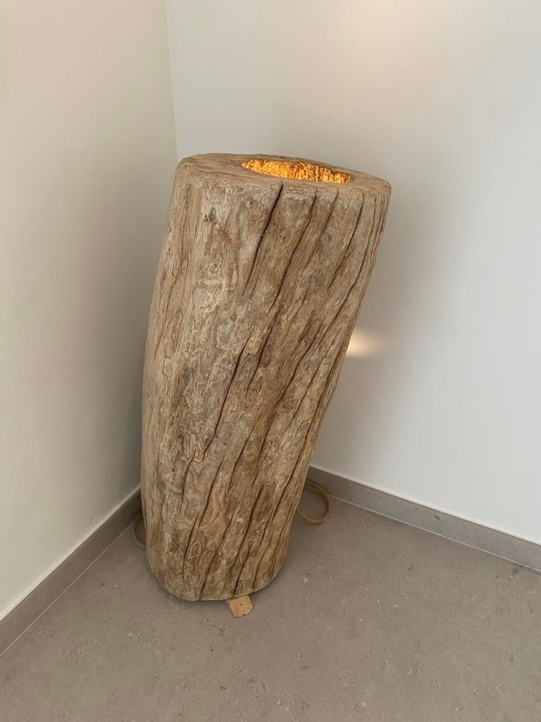 Boomstam / lamp, Ophalen, Zo goed als nieuw