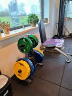 Olympische halterschijven + opbergrek, Sport en Fitness, Ophalen, Gebruikt, Benen, Halterschijven