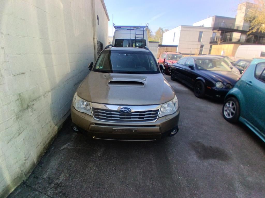 Subaru, Autos, Subaru, Entreprise, 5 portes, Brun, Euro 4