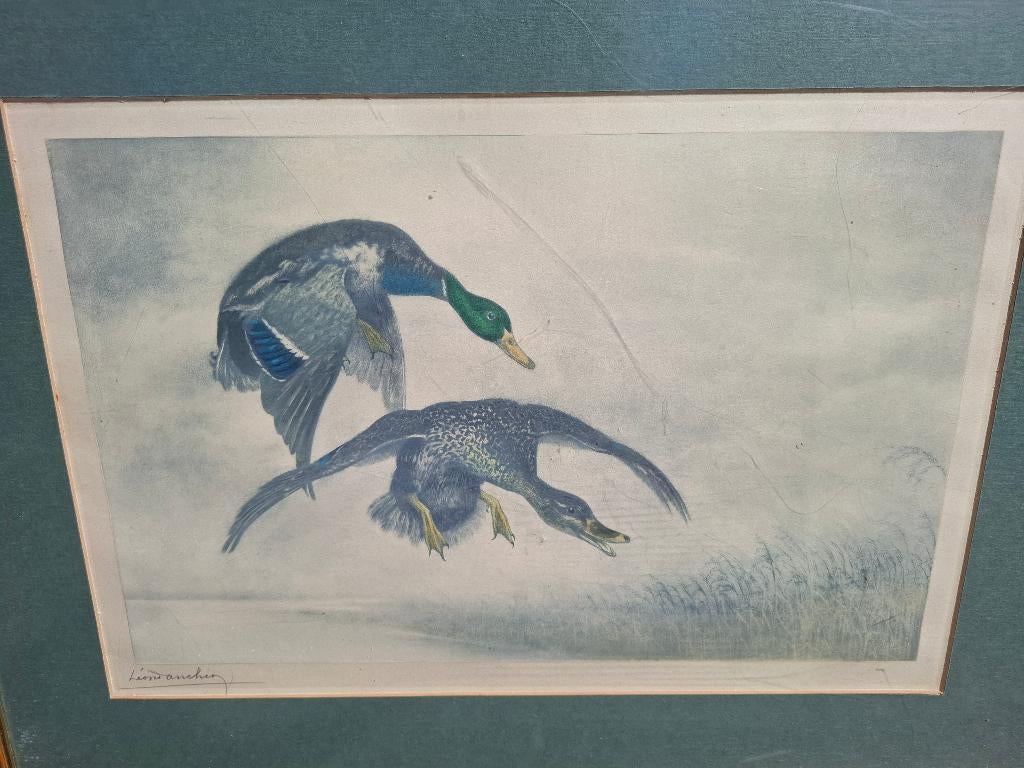 LEON DANCHIN 1887-1938  KLEURETS, Eau-forte, Faune et Flore, 1900 - 1949, Enlèvement