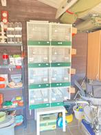 Dubbele kweekkooien Heesakkers