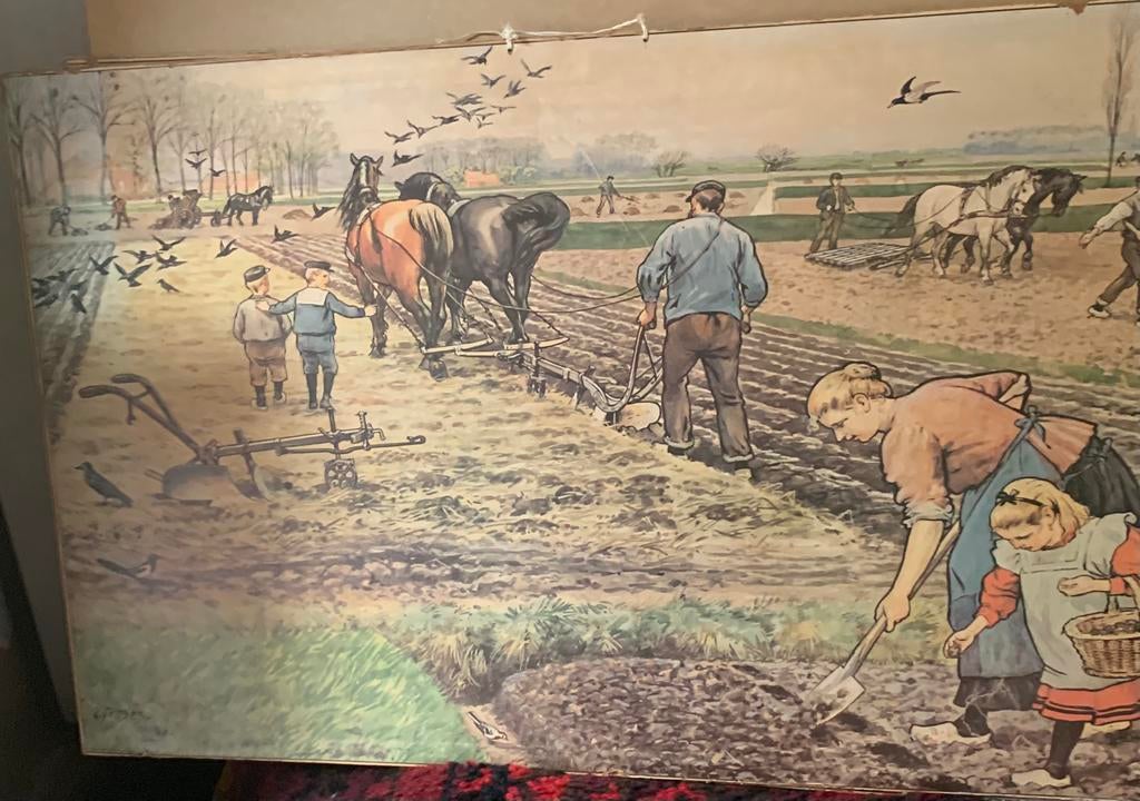 Schoolplaat, Antiek en Kunst, Antiek | Schoolplaten, Ophalen, Stad- en Dorpsgezichten