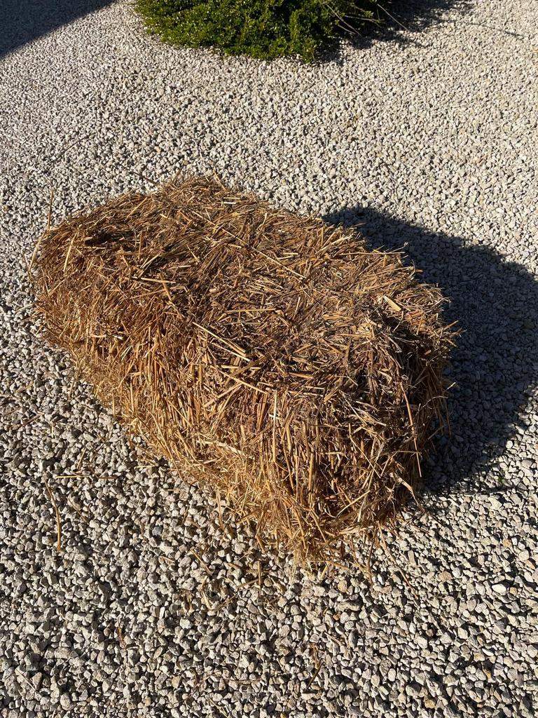 400 kleine STRO balen, Articles professionnels, Agriculture | Aliments pour bétail, Enlèvement