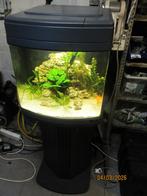 Sera aquarium nano led cube 60 liter met meubel, Ophalen, Zo goed als nieuw, Gevuld zoetwateraquarium