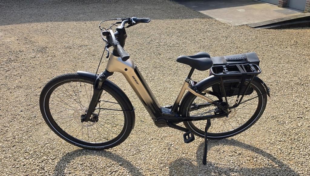 Elektrische fiets Giant, Ophalen, Nieuw, Giant