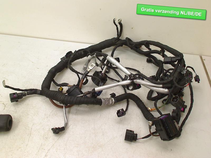 KABELBOOM MOTOR GTE Passat Variant (3G5) (04e972627cb), Gebruikt, De Bloemendaal 21 21
5221 EB  'S HERTOGENBOSCH, NL, Info@123Parts.nl