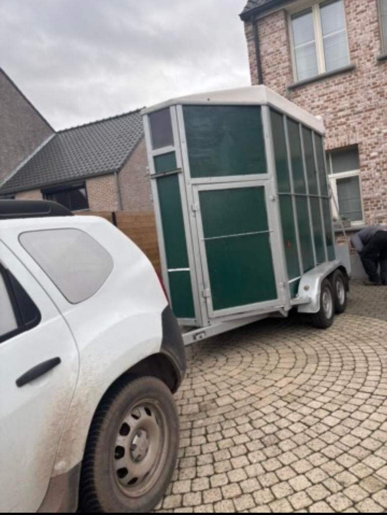 BCW 1,5 paardentrailer, Dieren en Toebehoren, Ophalen, Gebruikt, Polyester, 1½-paards trailer