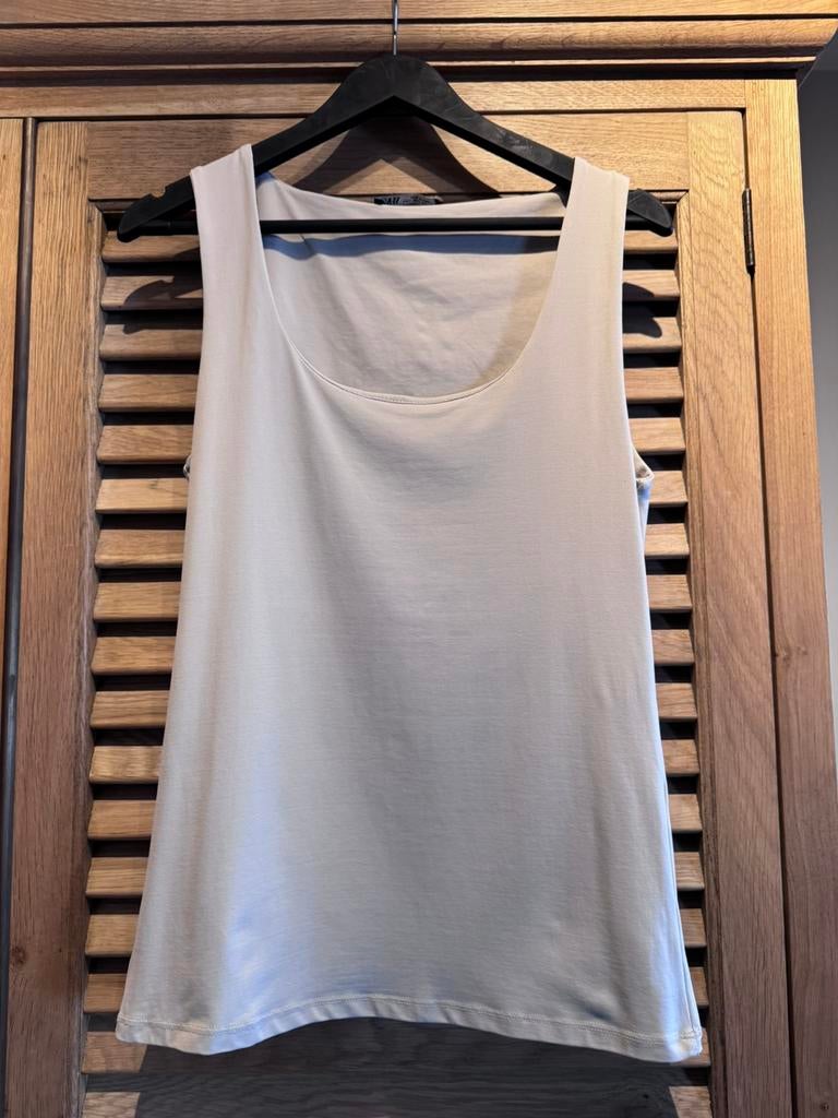 Topje beige Zara nieuwstaat Large, Kleding | Dames, Topjes, Ophalen of Verzenden, Zo goed als nieuw, Beige