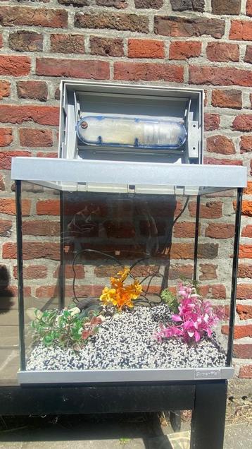 Aquarium  beschikbaar voor biedingen