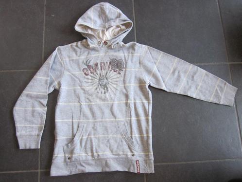 grijze trui met kap, Kinderen en Baby's, Kinderkleding | Maat 146, Gebruikt, Jongen, Trui of Vest, Ophalen of Verzenden