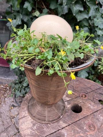 STRUISVOGELEI 16 CM OP 12 CM. PASEN PAASEI beschikbaar voor biedingen