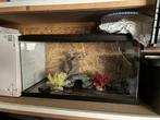 Aquarium 50 LITER & decoratie, Dieren en Toebehoren, Ophalen, Gebruikt, Leeg aquarium
