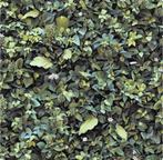 Papier peint vinyle motif mur végétal vert, Envoi, 75 m² ou plus, Vert, Ikea