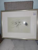 zeer mooi werk van WALTER SAUWER ( BELG ), Antiek en Kunst, Kunst | Etsen en Gravures, Ophalen