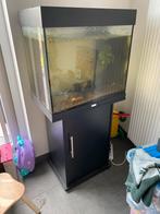 Juwel aquarium, Dieren en Toebehoren, Ophalen of Verzenden, Gebruikt, Overige typen