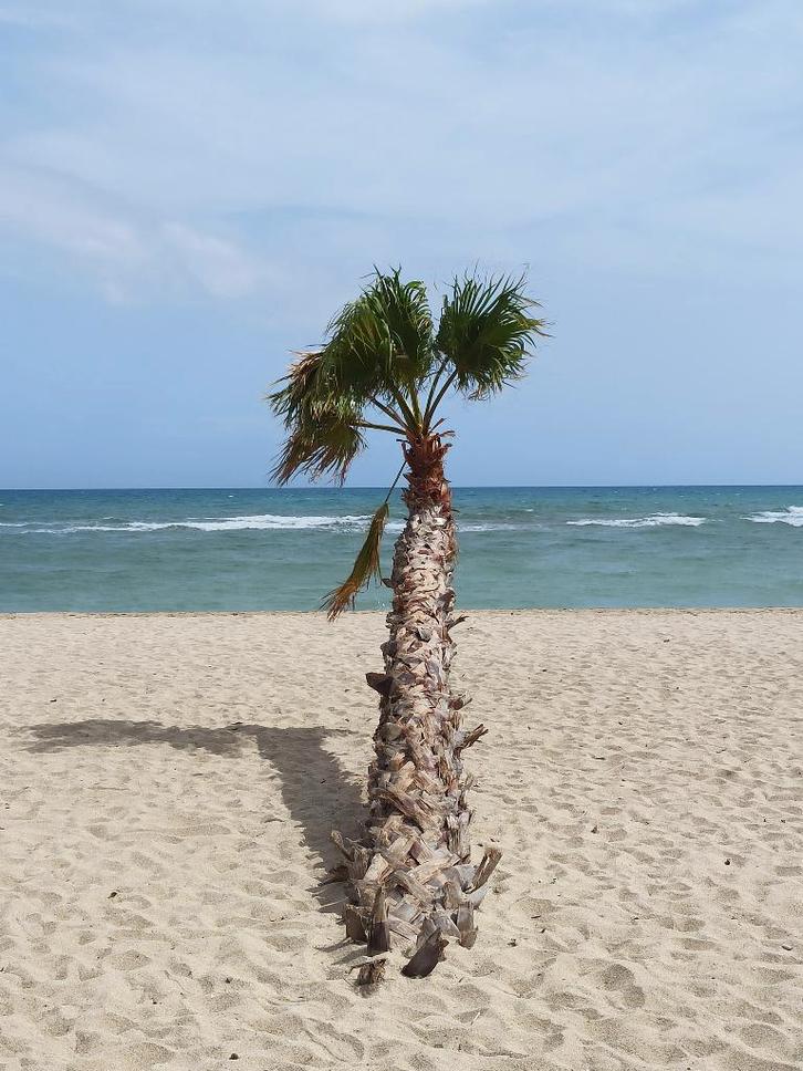 Vente Appartement 2 pièces 27 m² avec vue..., Immo, Étranger, France, Appartement, Ville