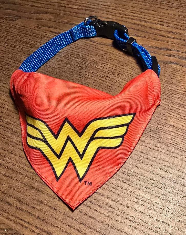 Collier chien, Dieren en Toebehoren, Honden-accessoires, Zo goed als nieuw, Ophalen