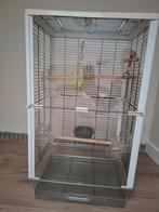 Papegaaienkooi, Dieren en Toebehoren, Ophalen, Zo goed als nieuw