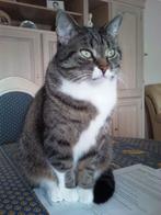 Appartement à louer, Immo