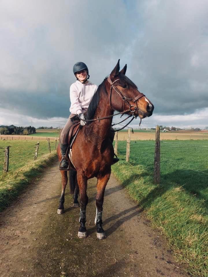 Halve stal aangeboden, Dieren en Toebehoren, Paarden