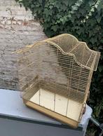 Vogelkooi, Dieren en Toebehoren