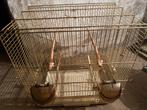 Twee kweek kooien voor kanarie en eerste foto deze is ook, Dieren en Toebehoren, Vogels | Hokken en Kooien, Ophalen of Verzenden