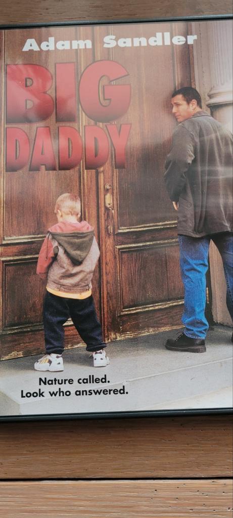 Big Daddy avec Adam Sandler, CD & DVD, DVD | Comédie, Comme neuf, Comédie romantique, À partir de 6 ans, Envoi